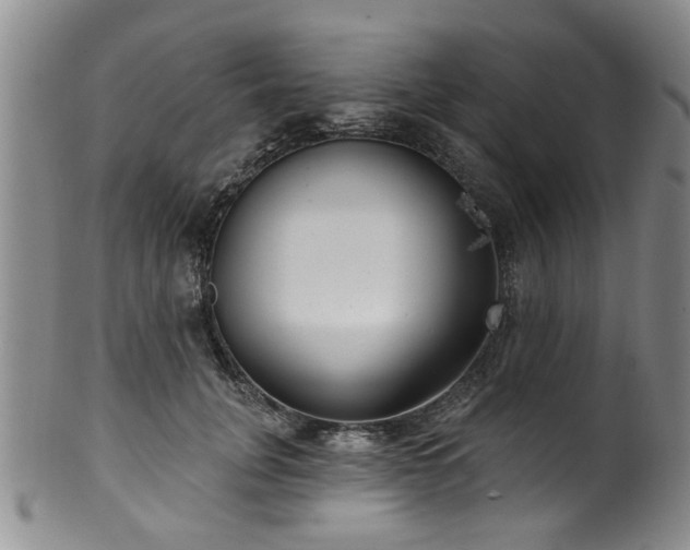 X0000100360751200806061138