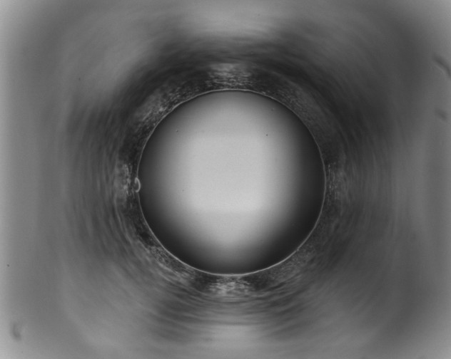 X0000100360752200806061138