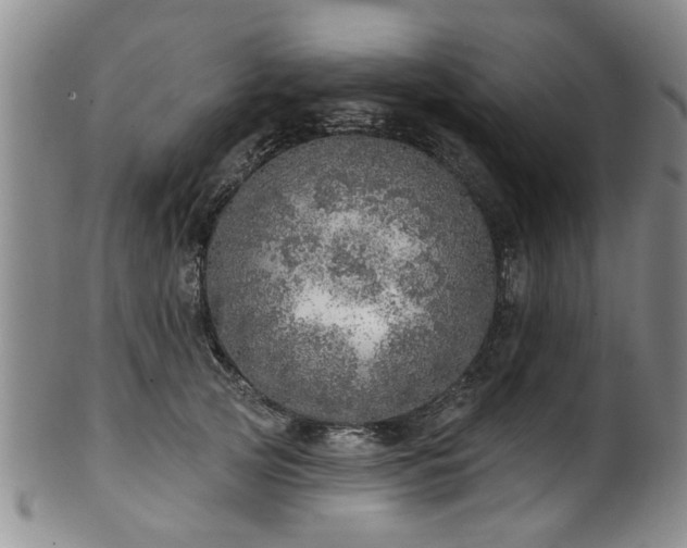 X0000100360753200806061138