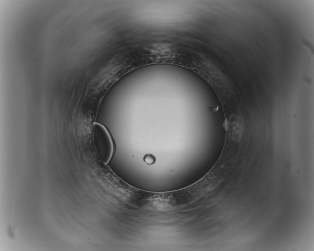 X0000100360756200806061138