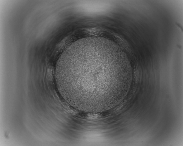 X0000100360757200806061138