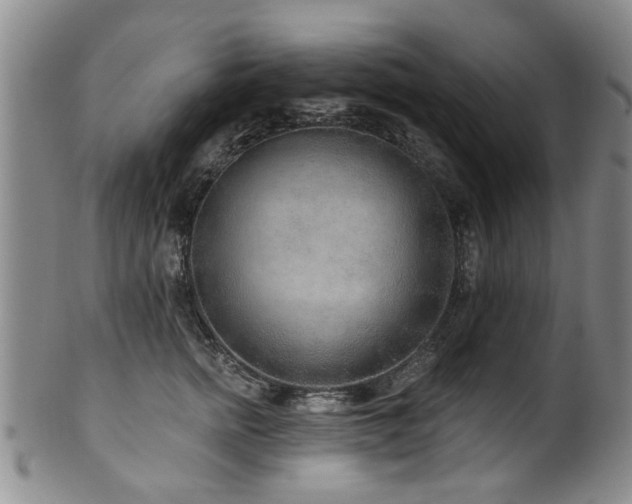 X0000100360758200806061138