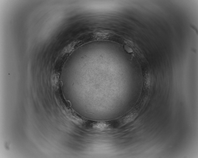 X0000100360759200806061138