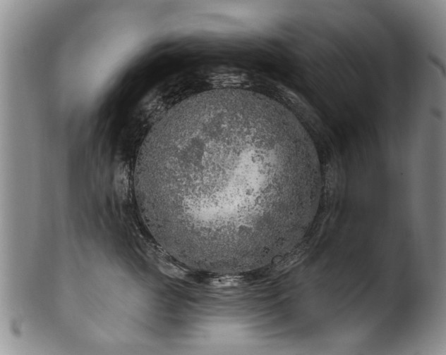 X0000100360761200806061138