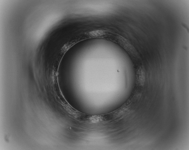 X0000100360762200806061138