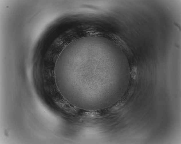 X0000100360763200806061138