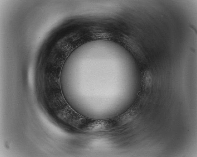 X0000100360764200806061138