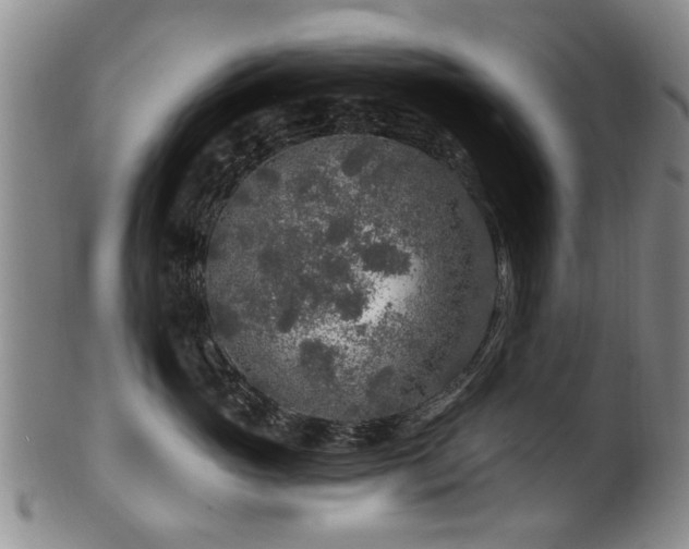 X0000100360765200806061138