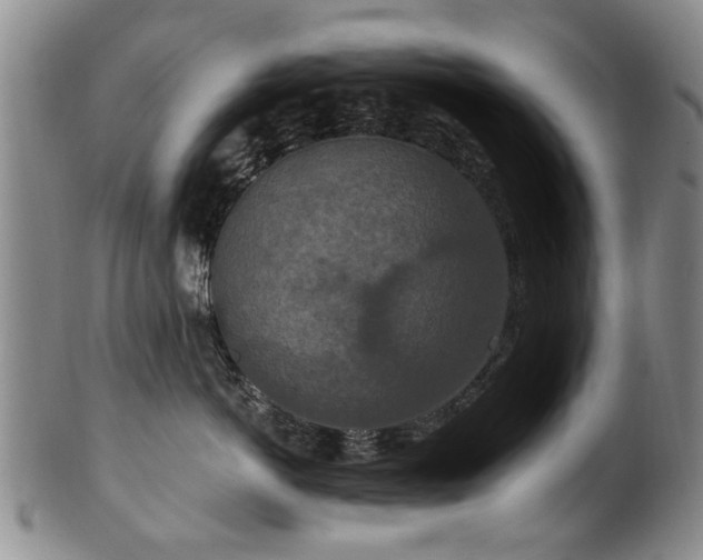 X0000100360766200806061138