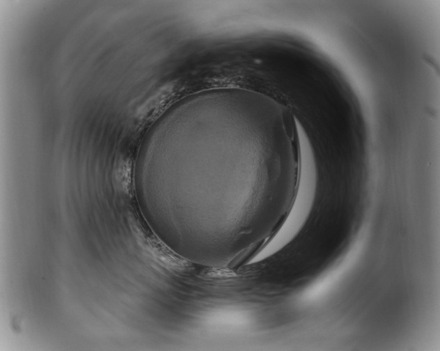 X0000100360767200806061138