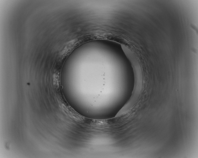 X0000100360768200806061138