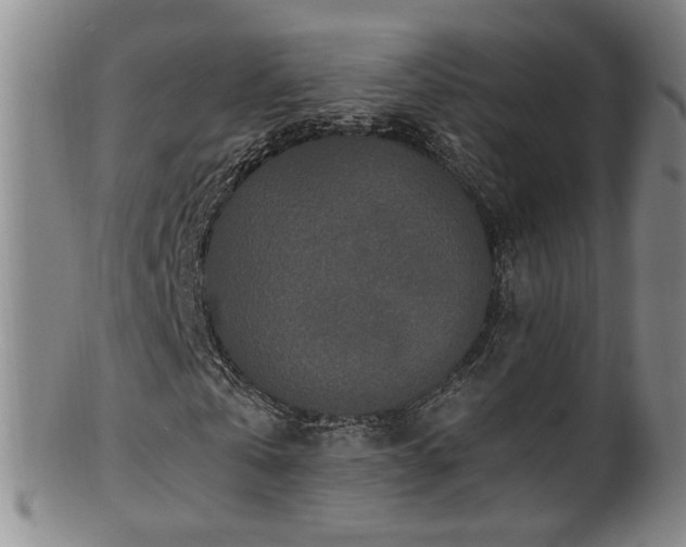 X0000100360769200806061137