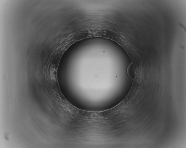 X0000100360770200806061137