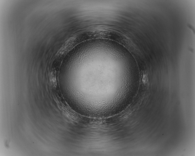 X0000100360771200806061137