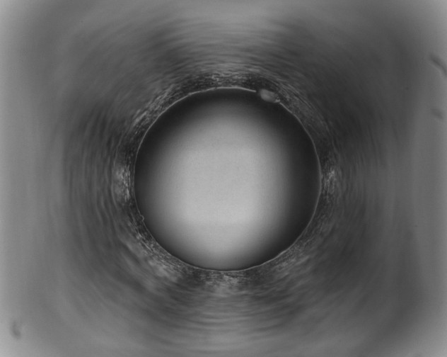 X0000100360772200806061137