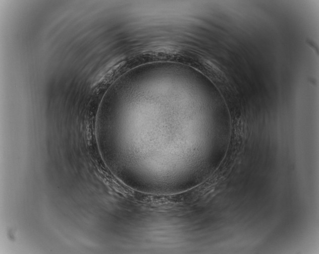 X0000100360774200806061137