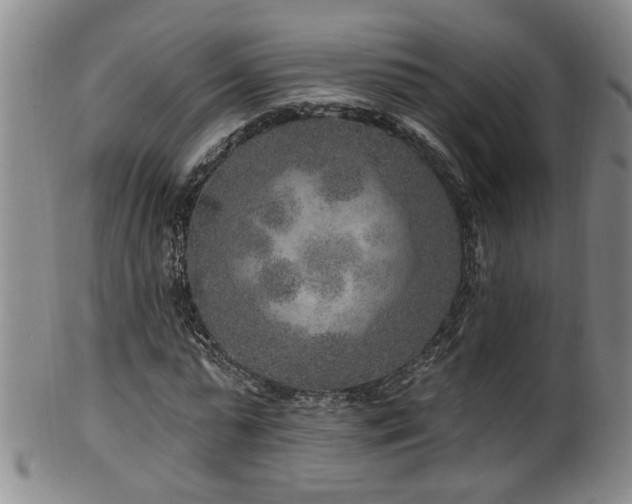 X0000100360775200806061137