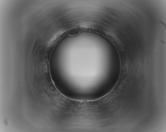 X0000100360776200806061137