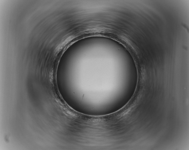 X0000100360778200806061137