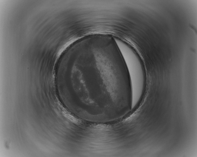 X0000100360779200806061137