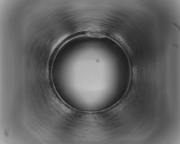 X0000100360780200806061137