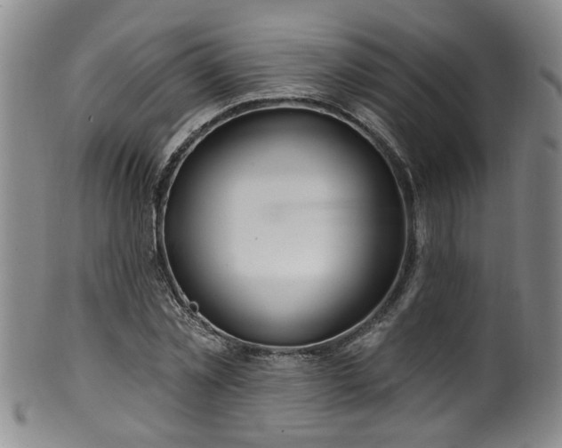 X0000100360781200806061137