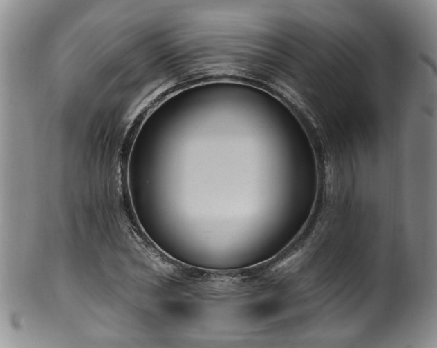 X0000100360782200806061137