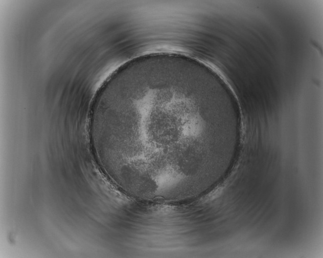 X0000100360783200806061137