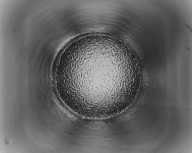 X0000100360784200806061137