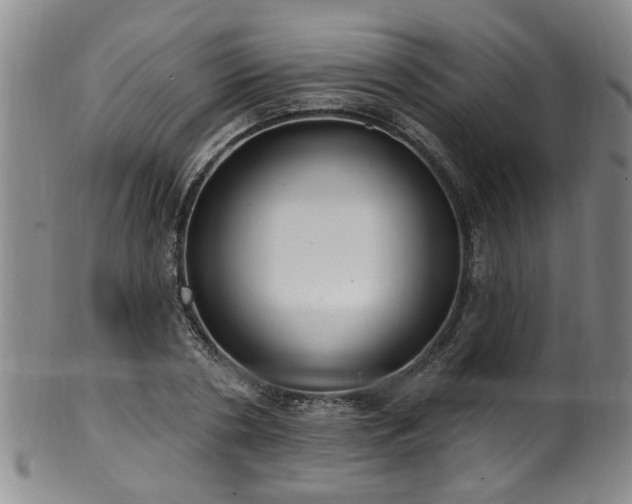 X0000100360786200806061137