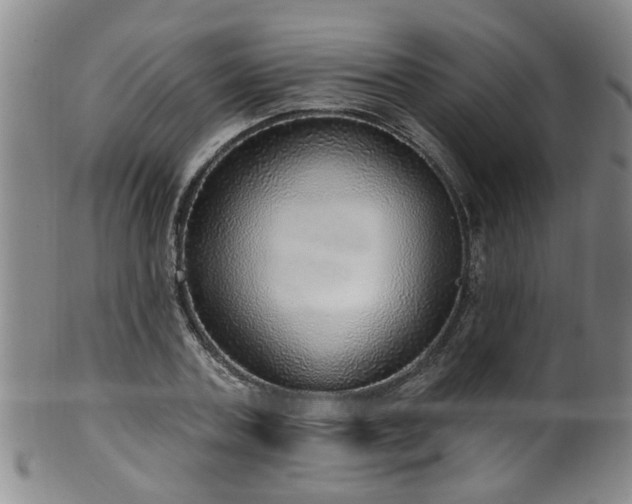 X0000100360787200806061137