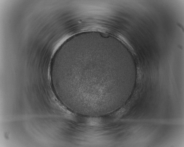 X0000100360788200806061137