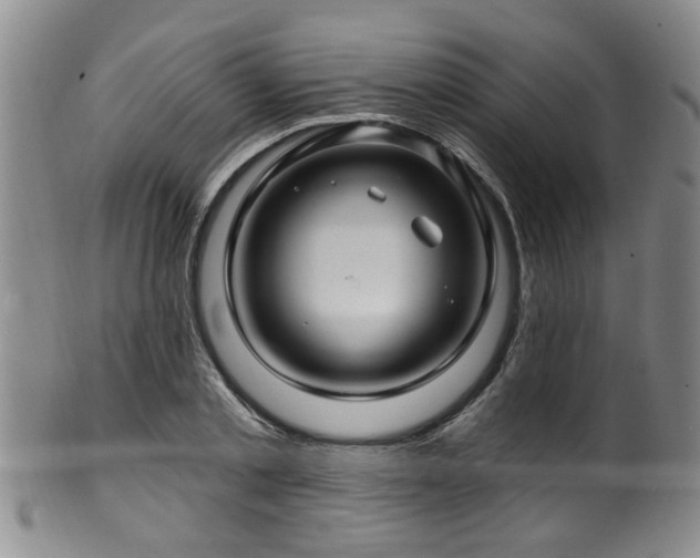 X0000100360789200806061137