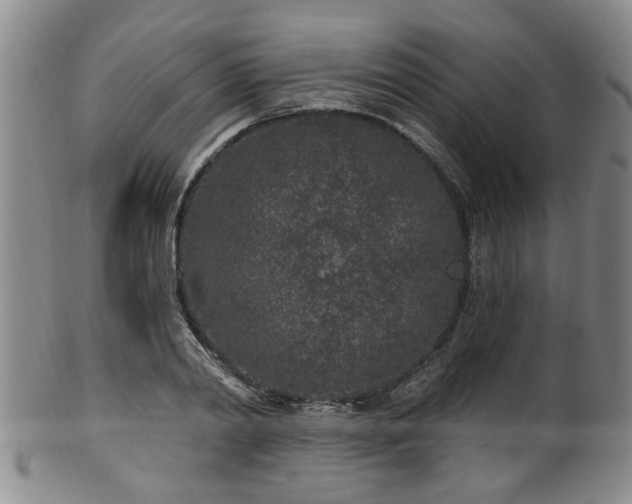 X0000100360790200806061137