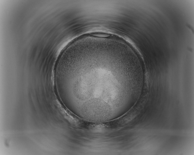 X0000100360791200806061137