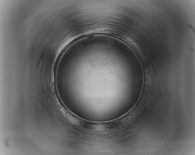 X0000100360792200806061137