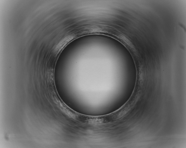 X0000100360793200806061137