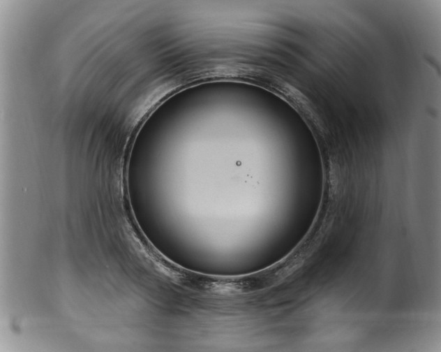 X0000100360794200806061137