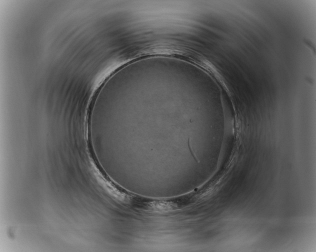 X0000100360795200806061137