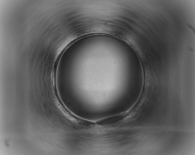 X0000100360796200806061137