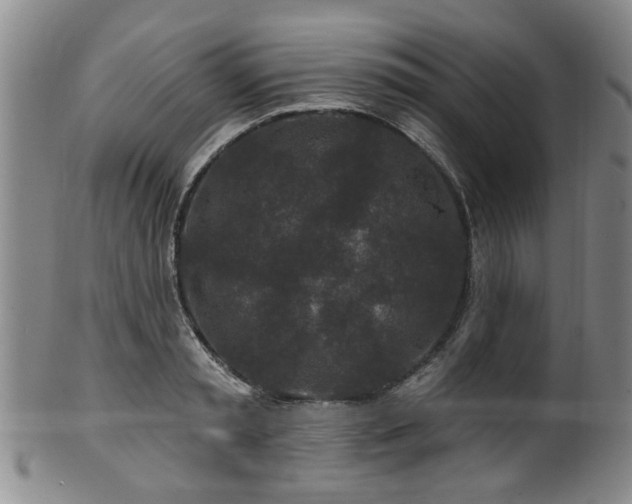 X0000100360797200806061137