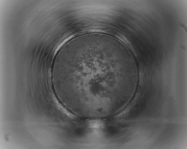 X0000100360798200806061137