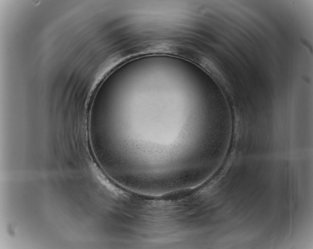 X0000100360800200806061137