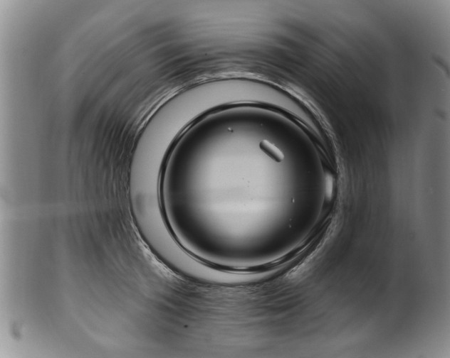 X0000100360801200806061137