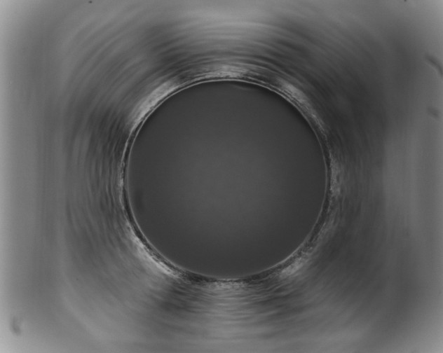 X0000100360802200806061137