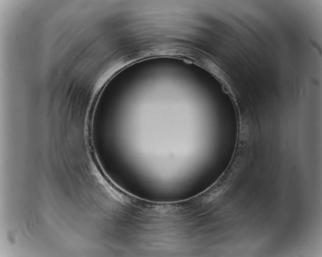 X0000100360803200806061137