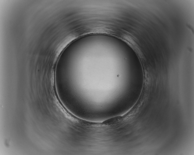 X0000100360804200806061137