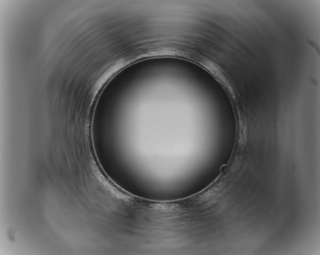 X0000100360805200806061137