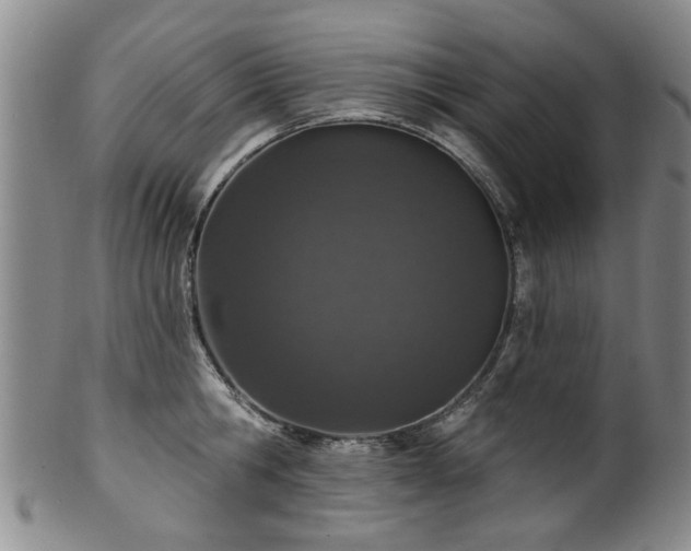 X0000100360806200806061137