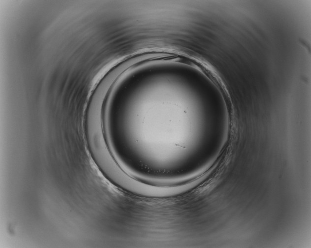 X0000100360807200806061137